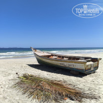 фото из отзыва ID 2733417