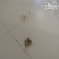 фото из отзыва ID 2737582