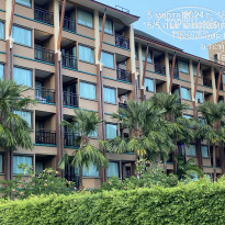 фото из отзыва ID 2737581