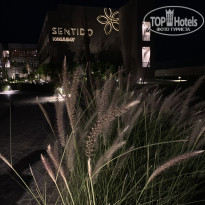 фото из отзыва ID 2737589