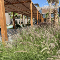 фото из отзыва ID 2737589