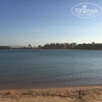 фото из отзыва ID 2737598