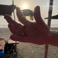 фото из отзыва ID 2737605