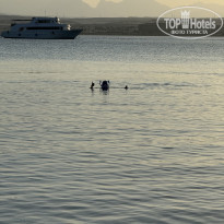 фото из отзыва ID 2737606