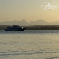 фото из отзыва ID 2737606