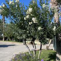 фото из отзыва ID 2737608