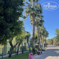 фото из отзыва ID 2737608