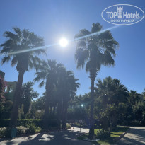 фото из отзыва ID 2737608