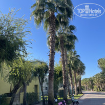 фото из отзыва ID 2737608