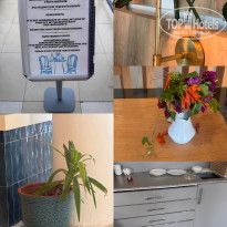 фото из отзыва ID 2737617