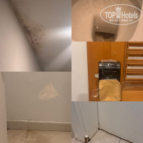 фото из отзыва ID 2737617