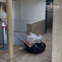 фото из отзыва ID 2737617