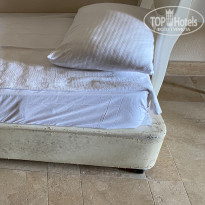 фото из отзыва ID 2737572