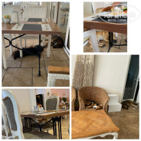 фото из отзыва ID 2737572