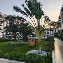 фото из отзыва ID 2737631