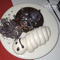 фото из отзыва ID 2737637