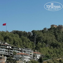 фото из отзыва ID 2737597