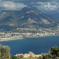 фото из отзыва ID 2737597