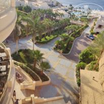 фото из отзыва ID 2737663