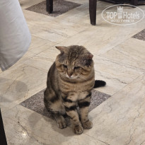 фото из отзыва ID 2737649