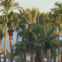 фото из отзыва ID 2737649