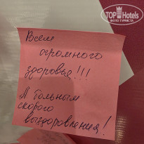 фото из отзыва ID 2737649