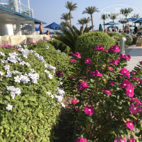 фото из отзыва ID 2737669