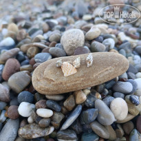 фото из отзыва ID 2737680