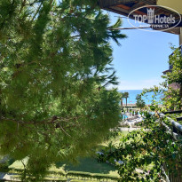 фото из отзыва ID 2737680