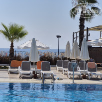 фото из отзыва ID 2731670