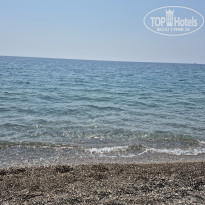 фото из отзыва ID 2731670