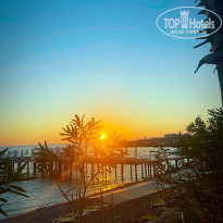 фото из отзыва ID 2737691