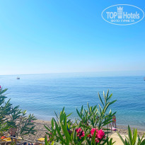 фото из отзыва ID 2737691