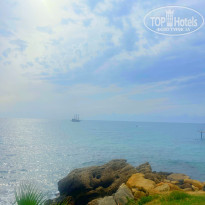 фото из отзыва ID 2737691