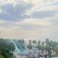 фото из отзыва ID 2737691