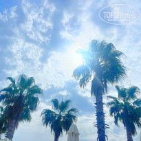 фото из отзыва ID 2737691