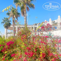 фото из отзыва ID 2737691