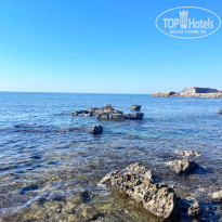 фото из отзыва ID 2737691