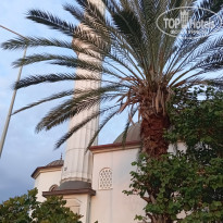 фото из отзыва ID 2737699