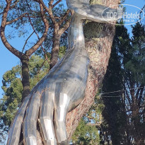 фото из отзыва ID 2737700