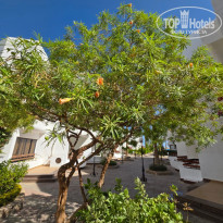 фото из отзыва ID 2737649