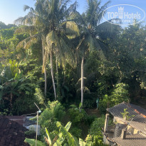 фото из отзыва ID 2737706