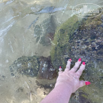 фото из отзыва ID 2737706