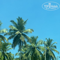 фото из отзыва ID 2737706