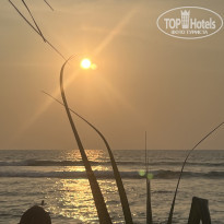 фото из отзыва ID 2737706