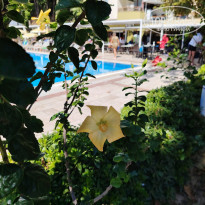 фото из отзыва ID 2737710