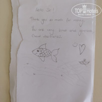 фото из отзыва ID 2737710