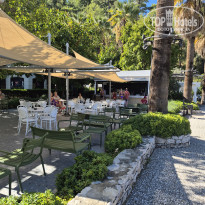 фото из отзыва ID 2737708