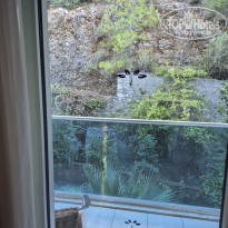 фото из отзыва ID 2737708