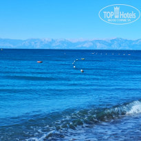 фото из отзыва ID 2737717